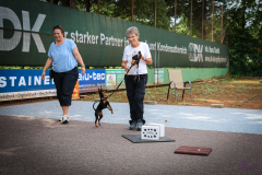 ANFÄNGER mit Vorkenntnissen und FORTGESCHRITTENEN-ZOS-Workshop 02.06.2018-5579