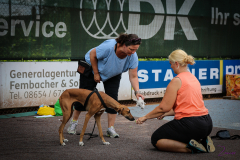 ANFÄNGER mit Vorkenntnissen und FORTGESCHRITTENEN-ZOS-Workshop 02.06.2018-5589