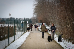 Weihnachtsfeier-03.12.2017-9056