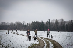 Weihnachtsfeier-03.12.2017-9107