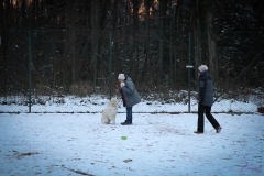 Weihnachtsfeier-03.12.2017-9616