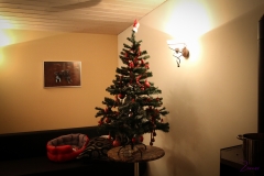 Weihnachtsfeier-03.12.2017-9644