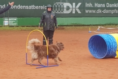 IMG-20190625-WA0033