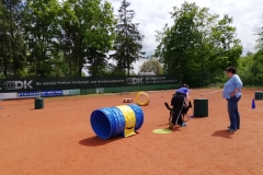 IMG-20190625-WA0034