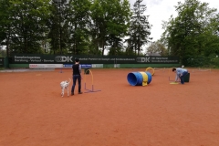 IMG-20190625-WA0035