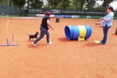 IMG-20190625-WA0036