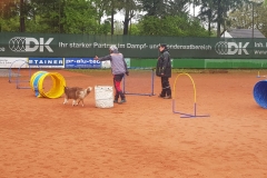 IMG-20190625-WA0048