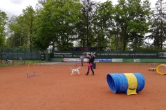 IMG-20190625-WA0054