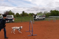 IMG-20190625-WA0056