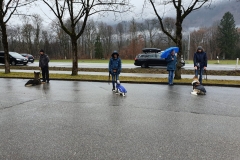 IMG-20200122-WA0034