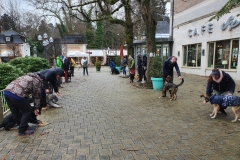 IMG-20200122-WA0035