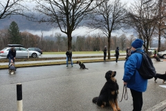 IMG-20200122-WA0038