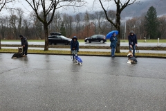 IMG-20200122-WA0040