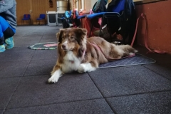 IMG-20190625-WA0001
