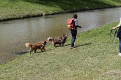 IMG-20190625-WA0004