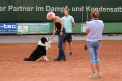 IMG_1354