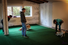 Workshop Hundeschule JDC 27.10.2018-8145