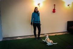 Workshop Hundeschule JDC 27.10.2018-8155