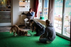 Workshop Hundeschule JDC 27.10.2018-8161