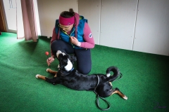Workshop Hundeschule JDC 27.10.2018-8163
