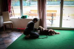 Workshop Hundeschule JDC 27.10.2018-8168