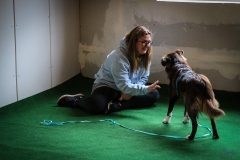 Workshop Hundeschule JDC 27.10.2018-8169
