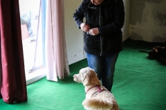 Workshop Hundeschule JDC 27.10.2018-8172