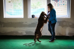 Workshop Hundeschule JDC 27.10.2018-8173