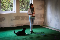 Workshop Hundeschule JDC 27.10.2018-8174