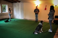 Workshop Hundeschule JDC 27.10.2018-8175