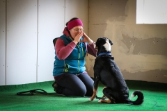 Workshop Hundeschule JDC 27.10.2018-8182