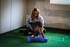 Workshop Hundeschule JDC 27.10.2018-8245