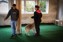 Workshop Hundeschule JDC 27.10.2018-8272