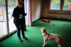 Workshop Hundeschule JDC 27.10.2018-8278