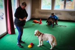 Workshop Hundeschule JDC 27.10.2018-8282