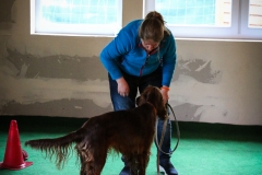 Workshop Hundeschule JDC 27.10.2018-8284