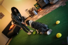 Workshop Hundeschule JDC 27.10.2018-8286
