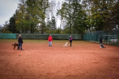 Workshop Hundeschule JDC 28.10.2018-8312