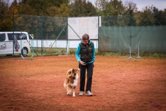 Workshop Hundeschule JDC 28.10.2018-8316