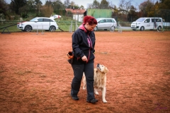 Workshop Hundeschule JDC 28.10.2018-8317