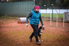 Workshop Hundeschule JDC 28.10.2018-8322