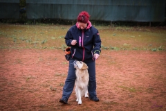 Workshop Hundeschule JDC 28.10.2018-8326