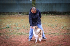 Workshop Hundeschule JDC 28.10.2018-8328