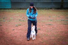 Workshop Hundeschule JDC 28.10.2018-8329