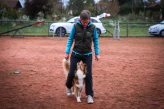 Workshop Hundeschule JDC 28.10.2018-8332