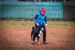 Workshop Hundeschule JDC 28.10.2018-8333
