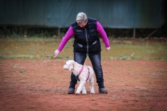 Workshop Hundeschule JDC 28.10.2018-8339