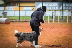 Workshop Hundeschule JDC 28.10.2018-8340