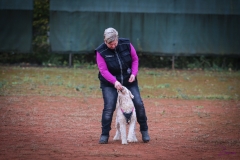Workshop Hundeschule JDC 28.10.2018-8343