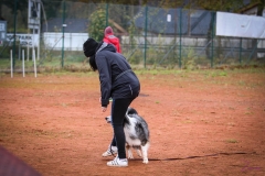Workshop Hundeschule JDC 28.10.2018-8347